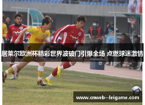 居莱尔欧洲杯精彩世界波破门引爆全场 点燃球迷激情