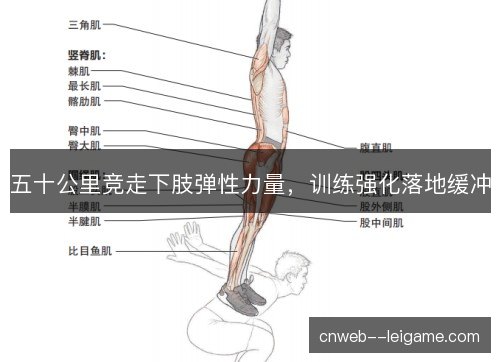 五十公里竞走下肢弹性力量，训练强化落地缓冲